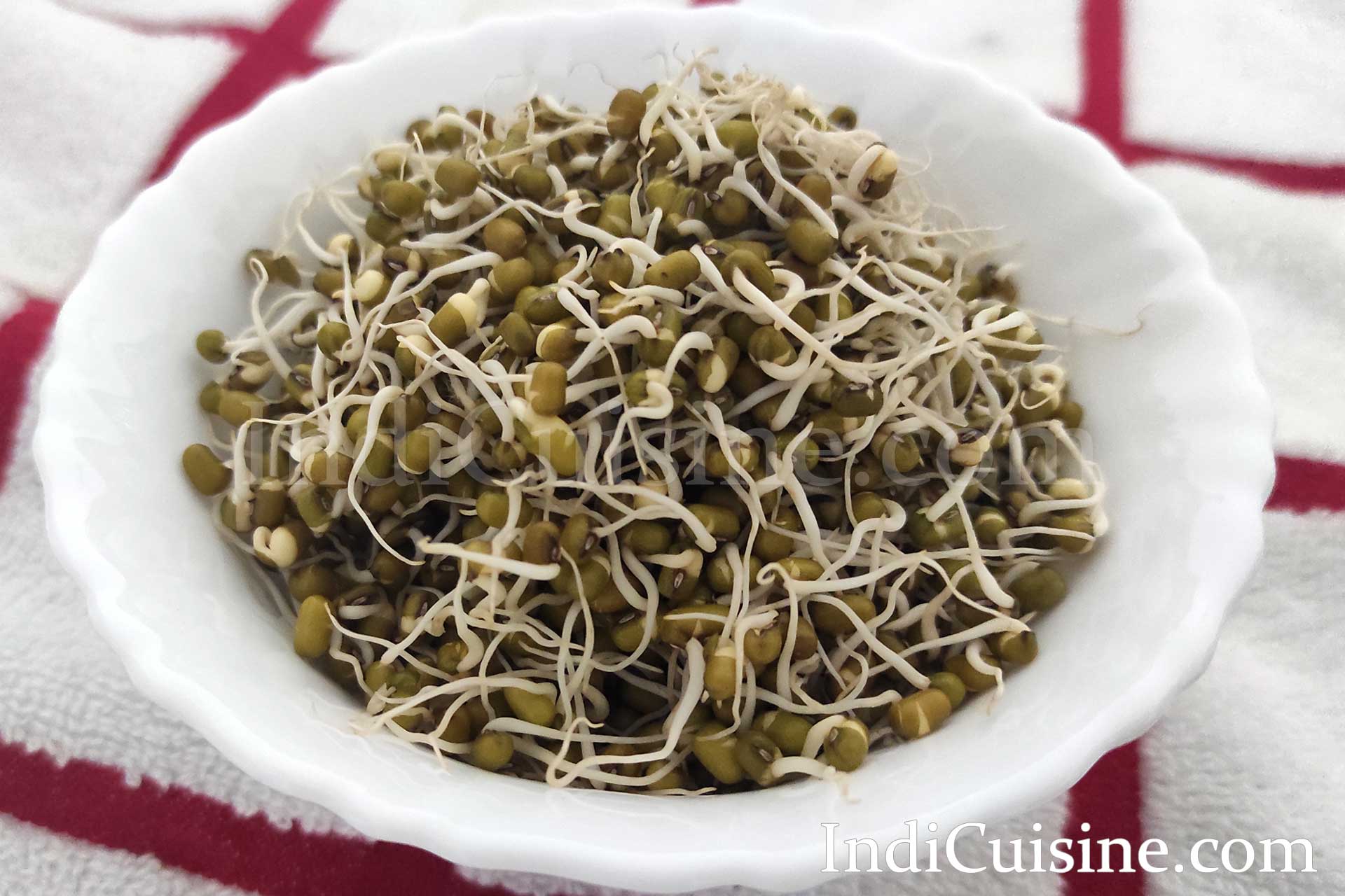 sprouts recipe image, sprouts photo